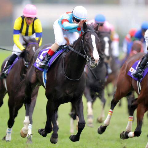 イクイノックス電撃引退、最強のまま4歳で種牡馬入り…圧勝ジャパンC