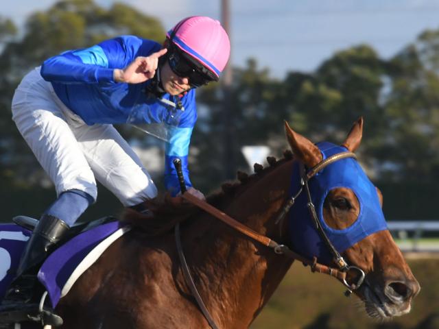 チャンピオンズCレース後コメント】レモンポップ坂井瑠星騎手ら | 競馬