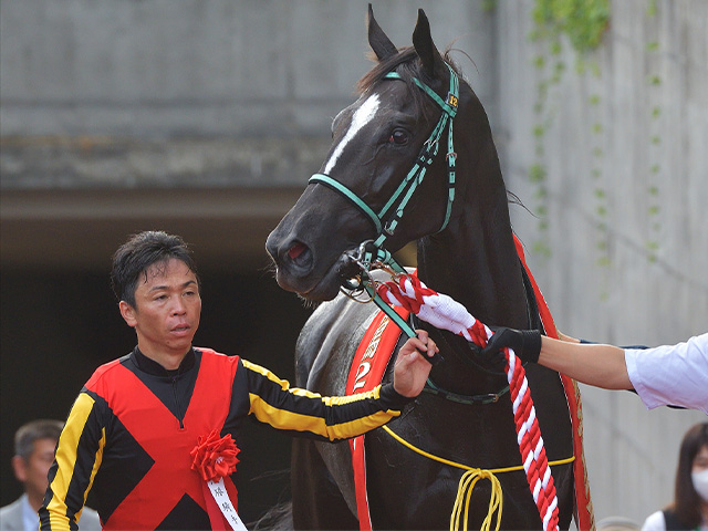 阪神JF】北村宏司騎手がキタサンブラック以来のJRA・GI制覇なるか
