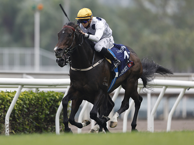 ゴールデンシックスティ　Golden sixty 世界最強馬香港競馬