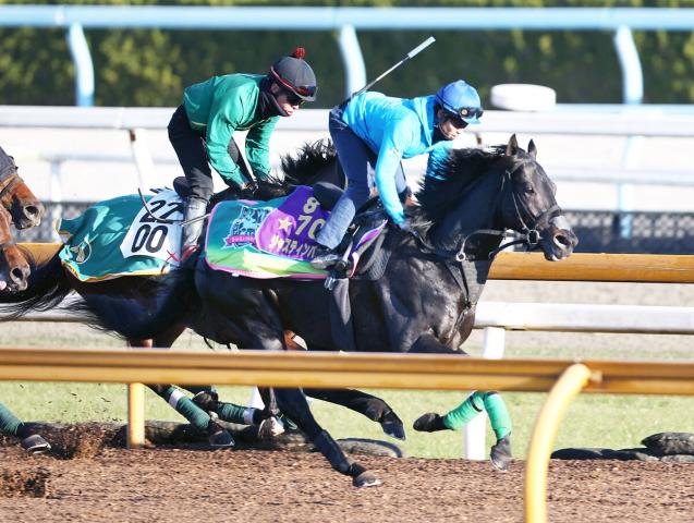 有馬記念】ファン投票の最終結果1位はイクイノックス 出走予定馬の最 