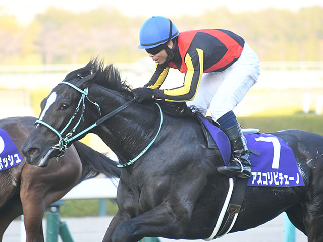 阪神JF結果】アスコリピチェーノ、無傷の3連勝で2歳女王！ | 競馬ニュース - netkeiba