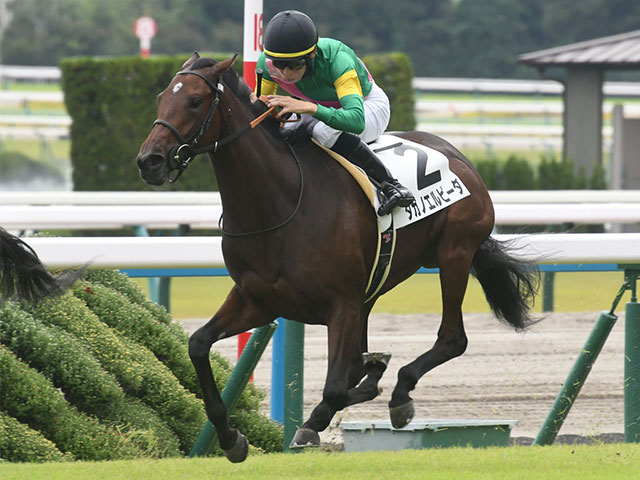 JRA 実使用 ゼッケン ローズステークス GⅡ GⅠ出走馬 タガノエルピーダ JRA 実使用 ゼッケン ローズステークス GⅡ GⅠ出走馬 タガノエルピーダ