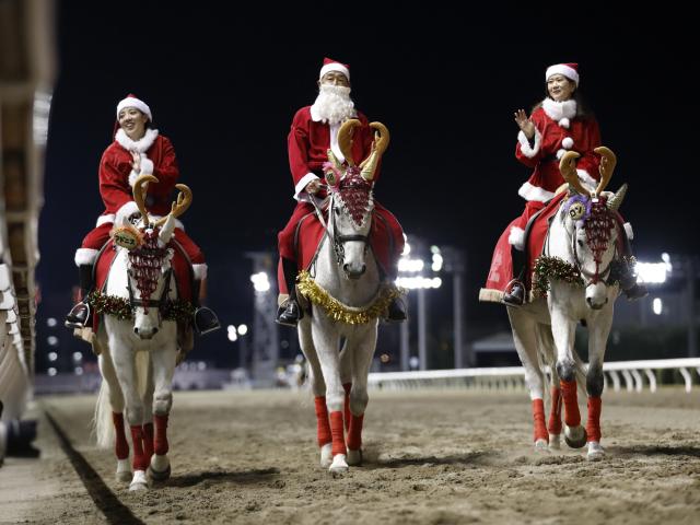 芦毛・白毛限定戦…45thホワイトクリスマス賞の枠順決まる 川崎にひと足早いクリスマス | 競馬ニュース - netkeiba