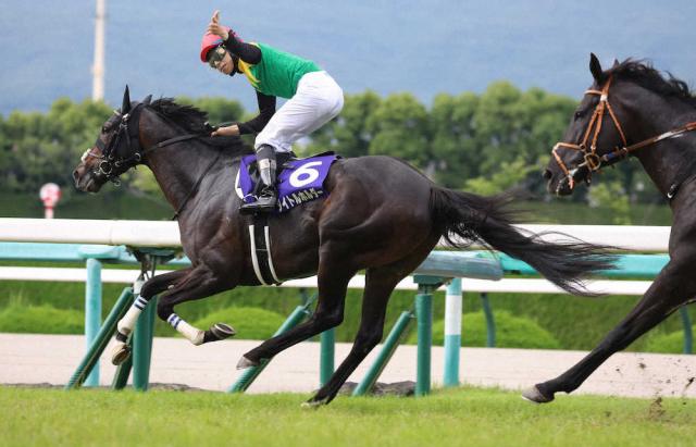 有馬記念がラストランのタイトルホルダー、当日の最終レース終了後に