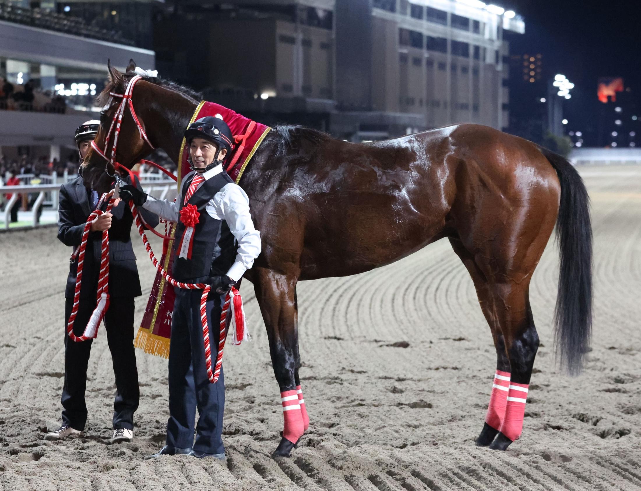 地方競馬】フォーエバーヤングが全日本２歳優駿Ｖ 坂井-矢作師師弟でつかんだビッグタイトル | 競馬ニュース - netkeiba