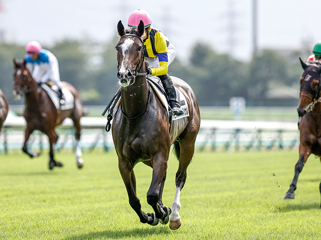 ターコイズS予想】上がり最速馬は不振 求められるのは瞬発力より器用さ