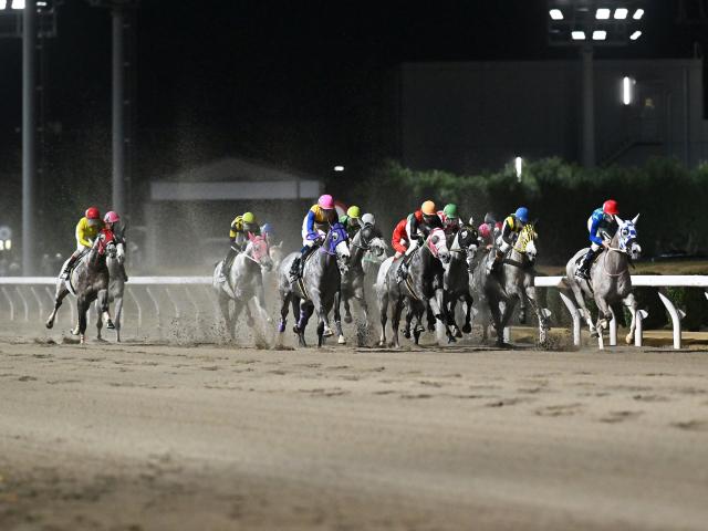 芦毛馬14頭が熱戦…23年の川崎競馬締めくくる45thホワイトクリスマス賞 | 競馬ニュース - netkeiba