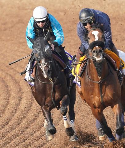 有馬記念】タイトルホルダーの横山和「いい内容、いい結果で終われる