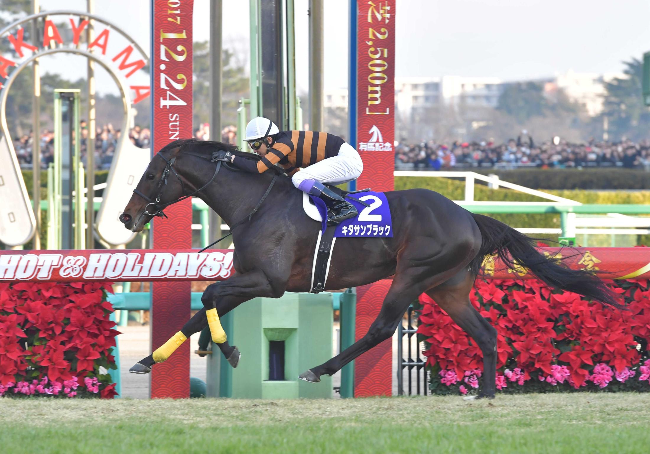 有馬記念】キタサンブラックが１０万人超のファンへ届けた最後の“祭り