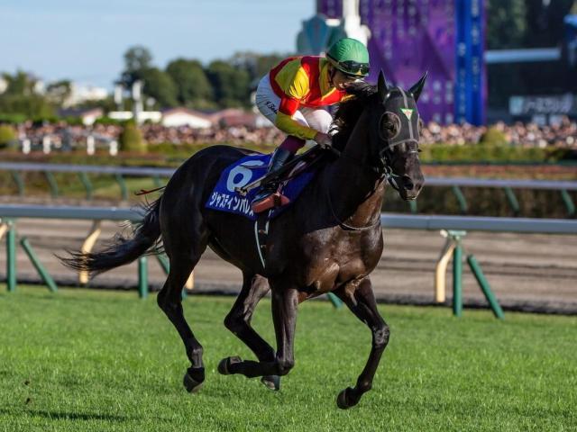 AI予想・有馬記念】鬼門の8枠に有力馬2頭が入り激戦必至のグランプリ 