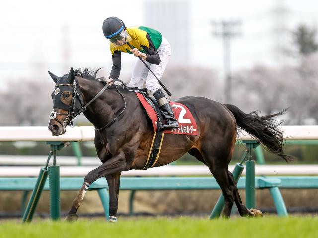 今日の注目ポイント】一年の総決算・有馬記念に豪華メンバーが集結 | 競馬ニュース - netkeiba