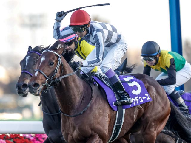 JRA・WIN5】本日のWIN5は的中104票、配当647万2370円 | 競馬ニュース - netkeiba