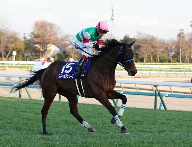 有馬記念】スルーセブンシーズは12着大敗…池添が分析する敗因「力んだ