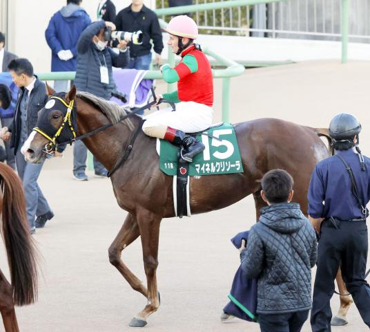 中山金杯】マイネルクリソーラは3着…ミルコ・デムーロ騎手「安定して走れるようになっています」 | 競馬ニュース - netkeiba