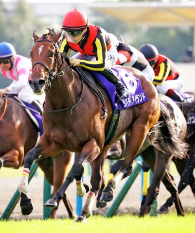 JRA賞】最優秀3歳牝馬のリバティアイランドは満票に1票届かず 中内田調教師「大変光栄です」 | 競馬ニュース - netkeiba