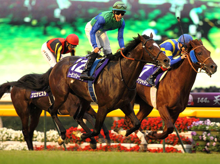 トーセンジョーダンが引退、種牡馬へ | 競馬ニュース - netkeiba