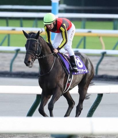 有馬記念5着シャフリヤール、22年に勝ったドバイSCに予備登録 | 競馬ニュース - netkeiba