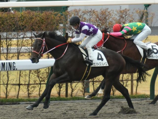 京都2R新馬戦結果】キズナ産駒サンライズソレイユが人気に応え差し切り 