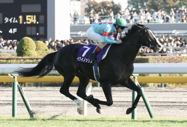 イクイノックスのレーティング世界1位表彰式 シルクレーシング米本代表「喜びを分かち合いたい」 | 競馬ニュース - netkeiba