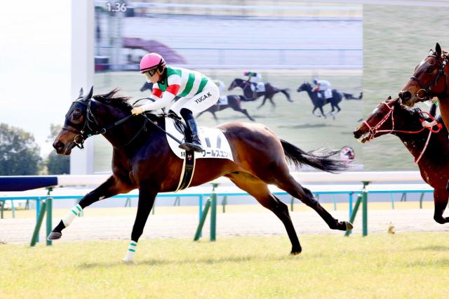 京都5R・3歳新馬】ロードカナロア産駒が史上24頭目のJRA通算1000勝 