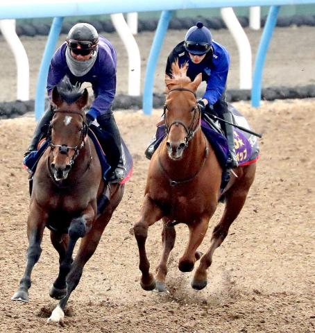 サウジC】レモンポップの追い切りに坂井瑠星騎手が駆けつける「変わり