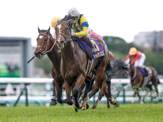 Jraで2重賞と日本馬多数出走のサウジカップデー 今週の競馬界の見どころ 競馬ニュース Netkeiba