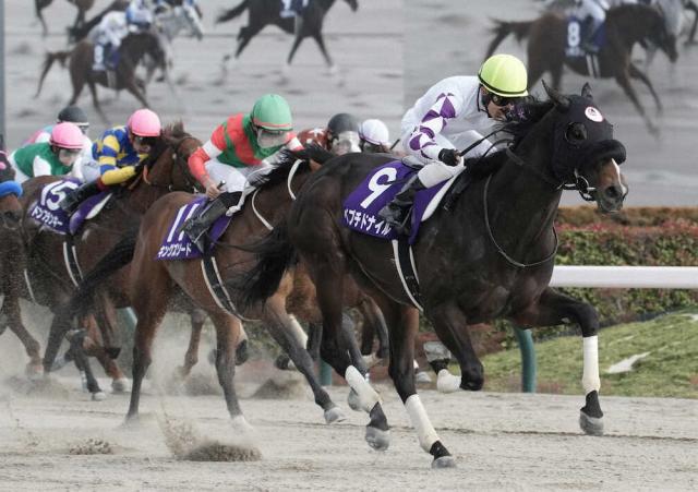 フェブラリーS覇者ペプチドナイル放牧へ、次走かしわ記念を視野 | 競馬