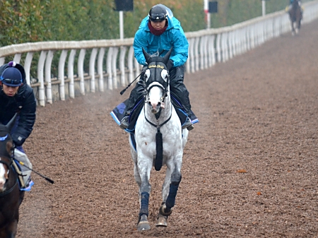 ゴールドシップとジャスタウェイが併せ馬/有馬記念1週前追い切り速報