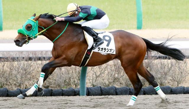 中山4R・3歳1勝クラス】ラオラシオンが2着に6馬身差の圧勝! 岩田望来