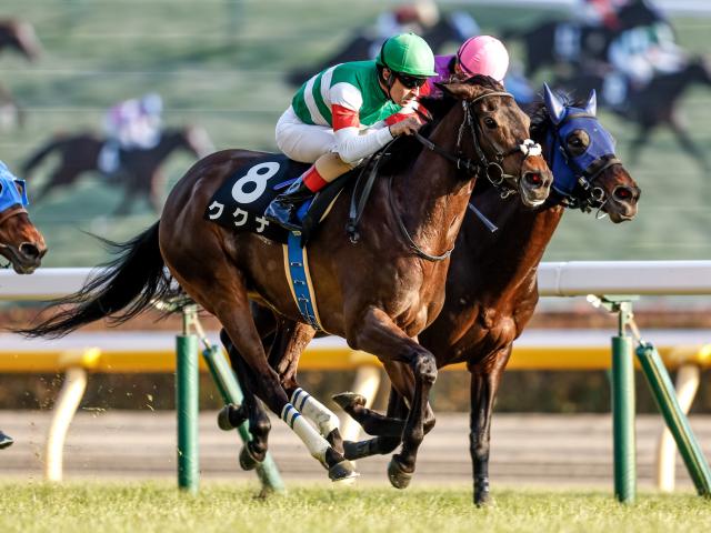 中山牝馬S展望】ククナの重賞初制覇を期待 | 競馬ニュース - netkeiba