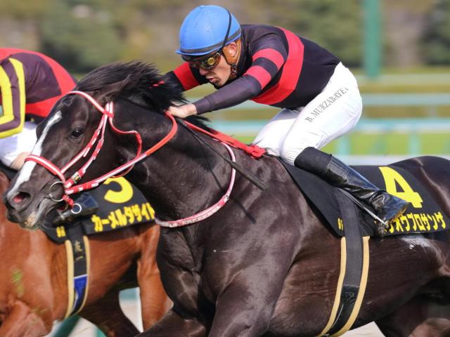 若葉S】矢作厩舎の4億円馬ホウオウプロサンゲ 皐月切符獲得なるか | 競馬ニュース - netkeiba