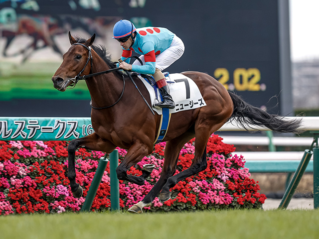 毎日杯】半姉は名牝ミッキークイーン 新馬戦5馬身差圧勝のニュージーズ