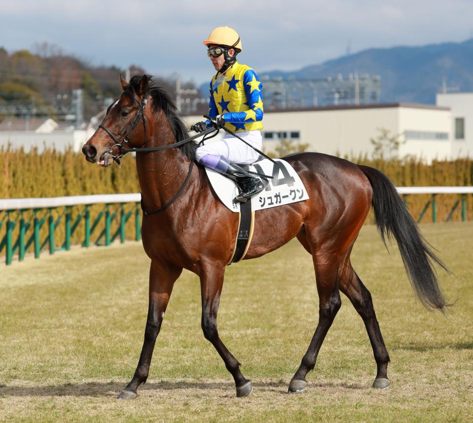 ＰＯＧ】シュガークン距離延長で期待大！半兄はキタサンブラック（栗東発） | 競馬ニュース - netkeiba