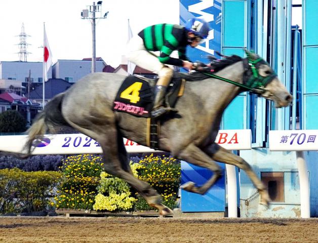 プリンセスアリーが浦和・桜花賞優勝 | 競馬ニュース - netkeiba