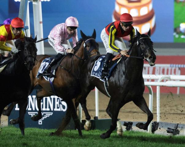 ドバイシーマC】シャフリヤール日本勢最上位2着 C・デムーロ「よく頑張ってくれました」 | 競馬ニュース - netkeiba