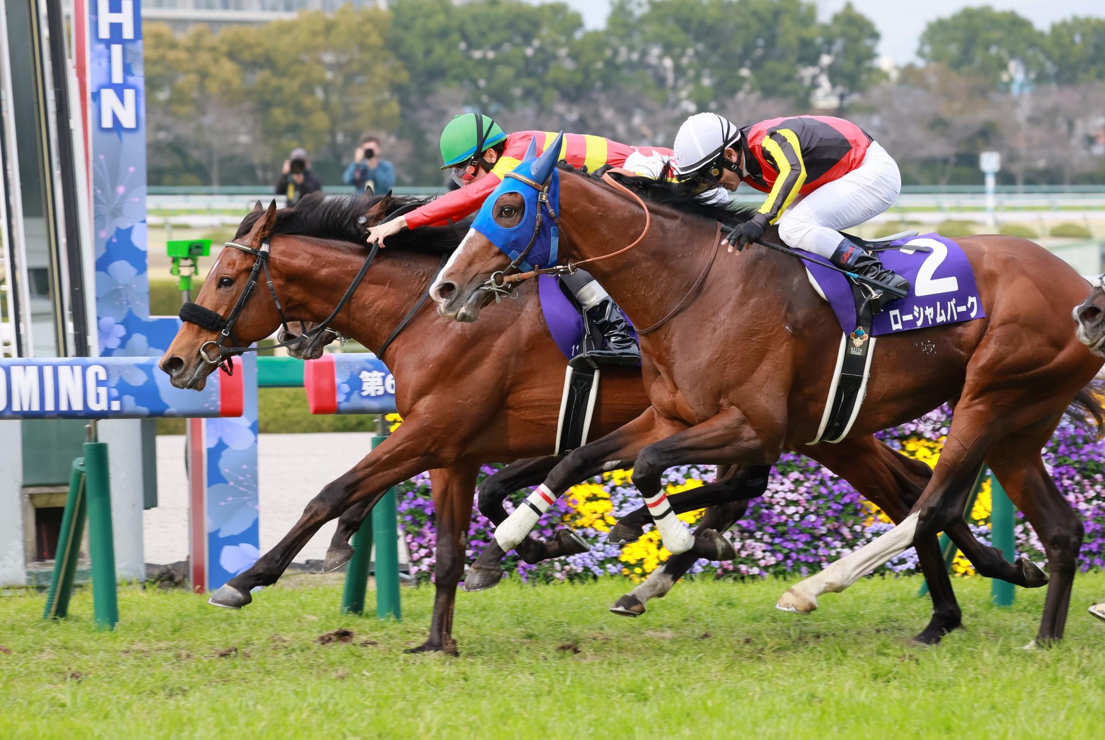 ステッカー 費やさ 阪神競馬場 ベラジオオペラ JRA 1着