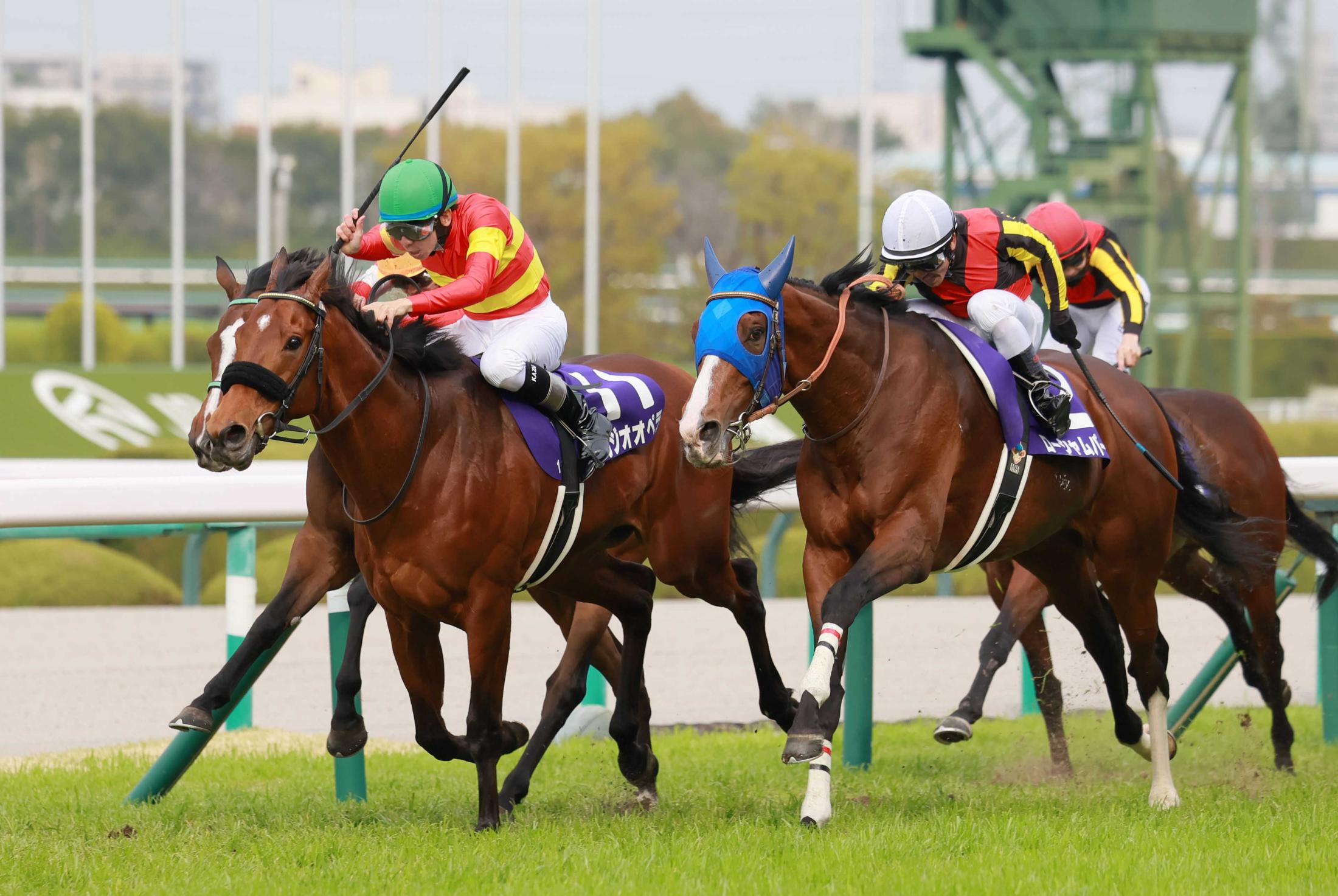 大阪杯】ベラジオオペラ雪辱Ｖ！同期の皐月賞馬もダービー馬も蹴散らし世代の主役へ！ | 競馬ニュース - netkeiba