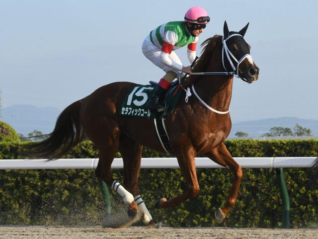 競馬 優勝馬 記念パネル シルトプレ号 鎌倉記念 笹川騎手 川崎 - その他