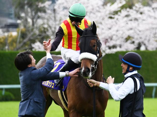 桜花賞レース後コメント】ステレンボッシュ J.モレイラ騎手ら | 競馬 