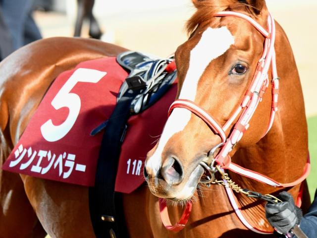 衝撃の総額8億円超え！ 矢作厩舎が豪華すぎる皐月賞3頭出しだ | 競馬