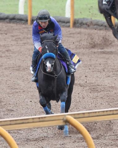 天皇賞・春】ドゥレッツァ気合注入!菊花賞馬の力戻った、CW単走ラスト 