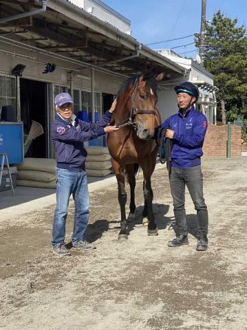 アーモンドアイ初子アロンズロッド 国枝厩舎に入厩「無事に入ってきて健康そうでホッ」 | 競馬ニュース - netkeiba