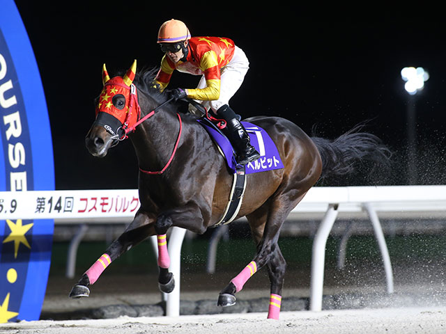 門別・コスモバルク記念結果】三冠馬ベルピットが圧勝で重賞6勝目を挙げる | 競馬ニュース - netkeiba