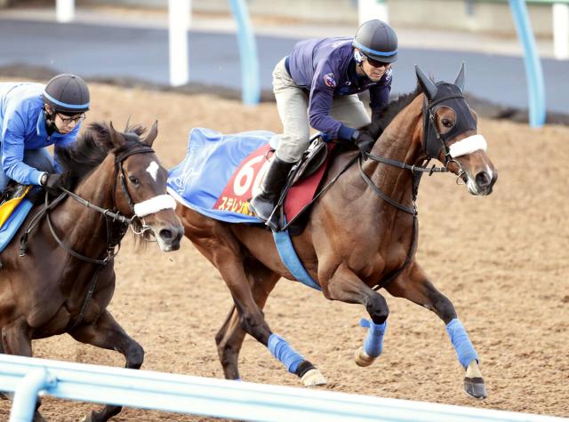 オークス】「アパパネ、アーモンドアイと同じくらい順調」国枝栄師2冠へ万全 | 競馬ニュース - netkeiba