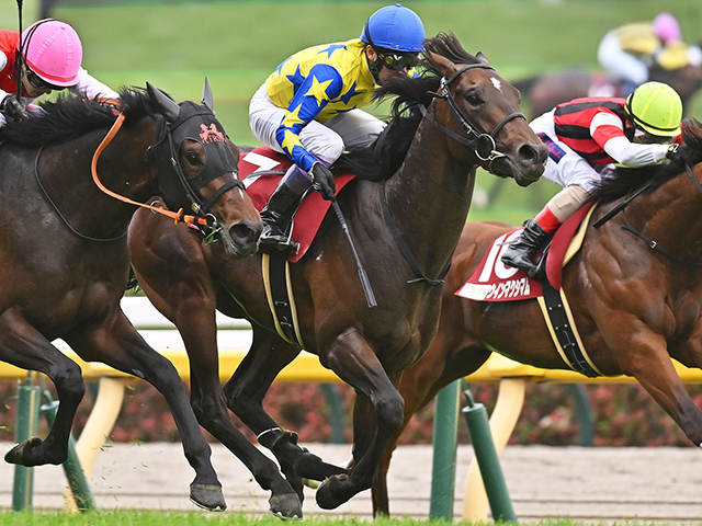 日本ダービー】青葉賞覇者シュガークン 武豊騎手の7勝目とともにジンクス破る勝利を | 競馬ニュース - netkeiba