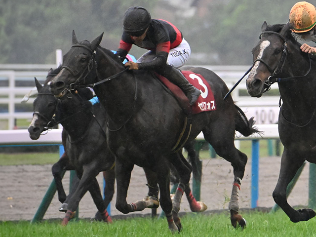 安田記念・調教後馬体重】セリフォスは508kg、ロマンチックウォリアーは521kg | 競馬ニュース - netkeiba