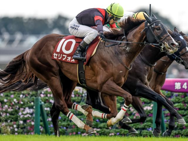 安田記念予想】人気順・枠・騎手の傾向は 過去データで狙う安田記念 | 競馬ニュース - netkeiba