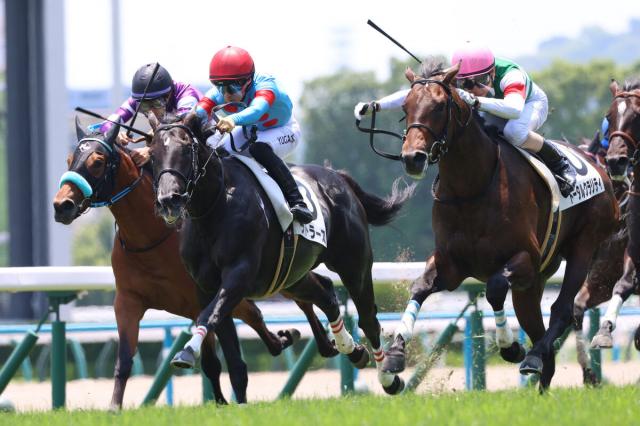 京都5R・2歳新馬】ソフトバンク柳田は馬主デビュー即Vならず 所有馬ゴッドヴァレーは3着 | 競馬ニュース - netkeiba