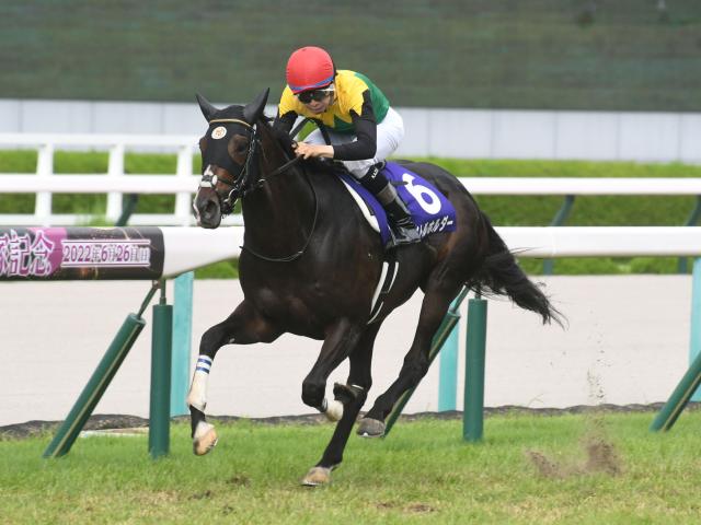 レコード塗り替え 競馬 オファー